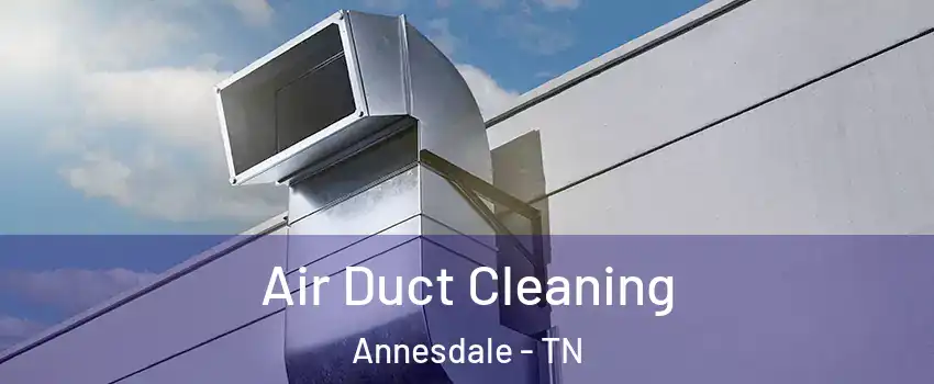 Air Duct Cleaning Annesdale - TN