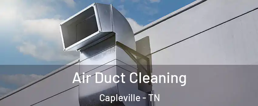 Air Duct Cleaning Capleville - TN