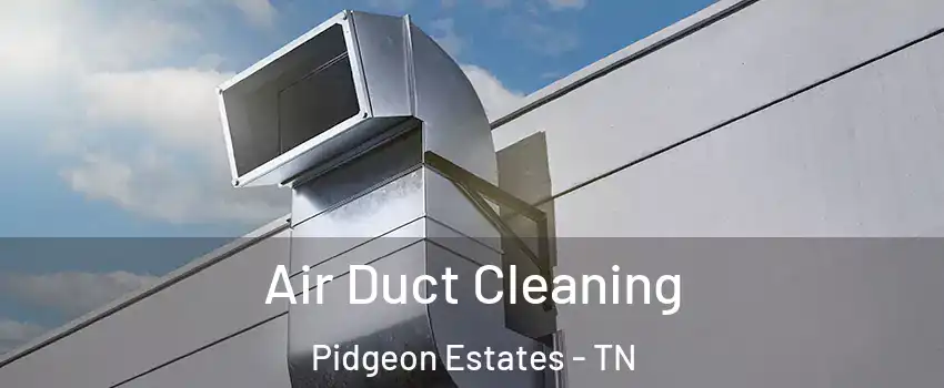 Air Duct Cleaning Pidgeon Estates - TN