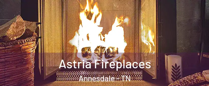 Astria Fireplaces Annesdale - TN