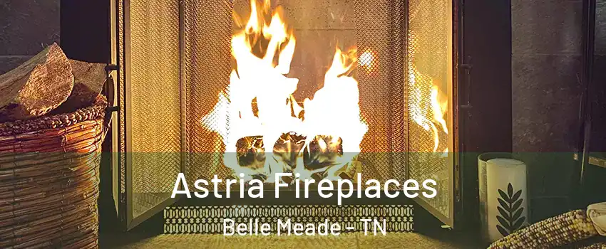 Astria Fireplaces Belle Meade - TN