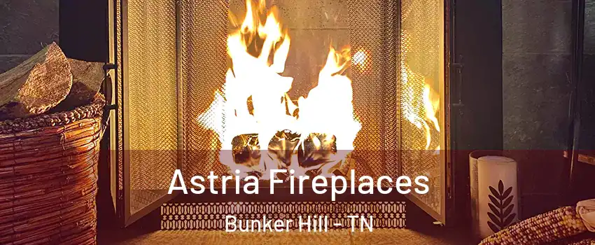 Astria Fireplaces Bunker Hill - TN