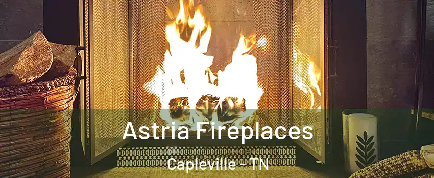 Astria Fireplaces Capleville - TN