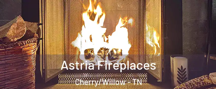 Astria Fireplaces Cherry/Willow - TN