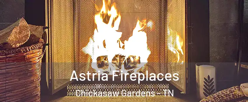 Astria Fireplaces Chickasaw Gardens - TN