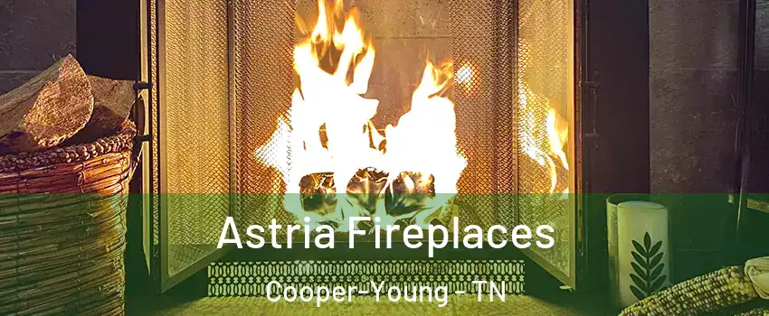 Astria Fireplaces Cooper-Young - TN