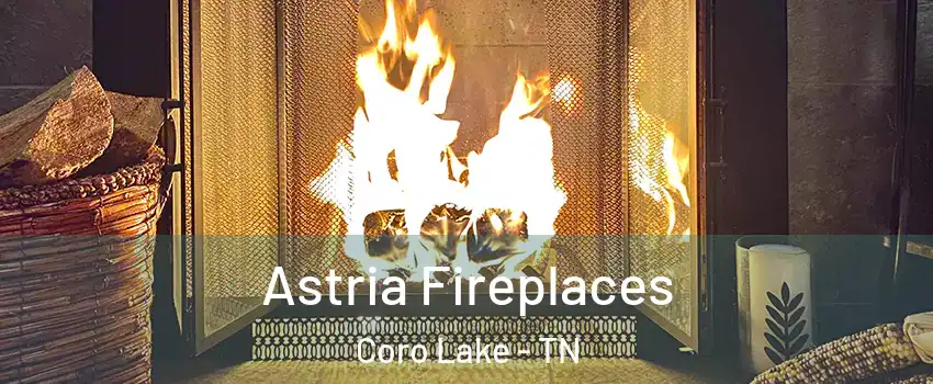 Astria Fireplaces Coro Lake - TN