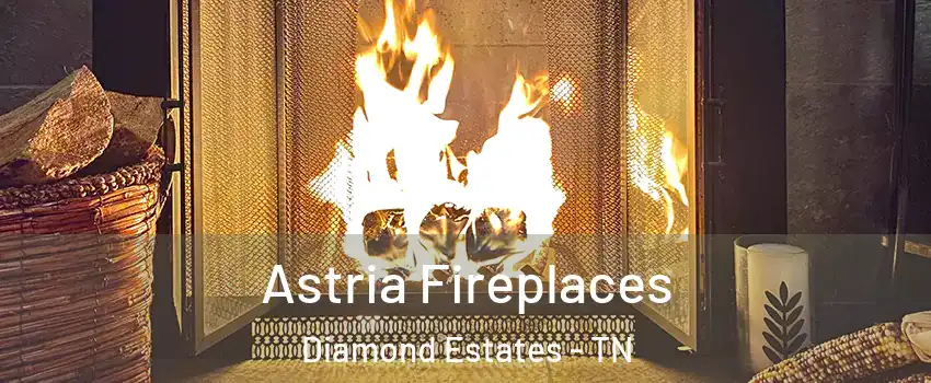 Astria Fireplaces Diamond Estates - TN