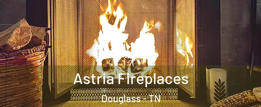 Astria Fireplaces Douglass - TN