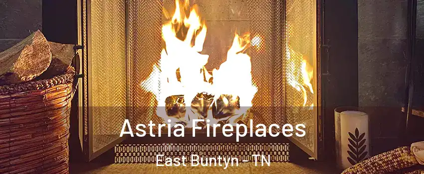 Astria Fireplaces East Buntyn - TN