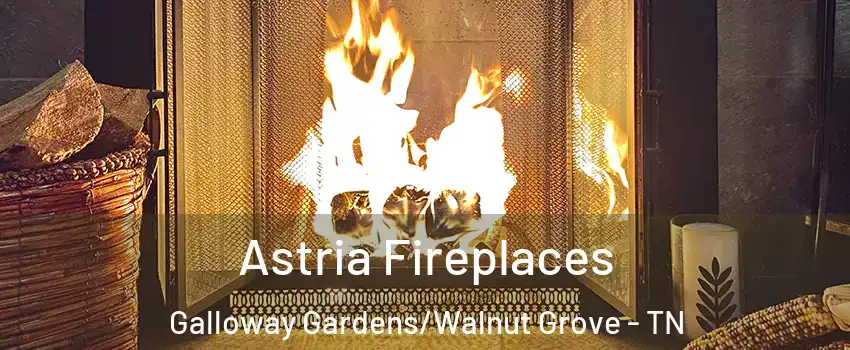 Astria Fireplaces Galloway Gardens/Walnut Grove - TN