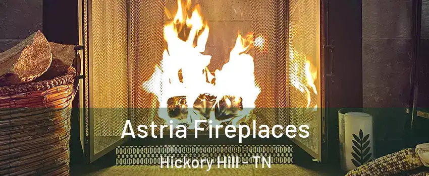 Astria Fireplaces Hickory Hill - TN