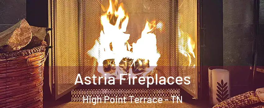 Astria Fireplaces High Point Terrace - TN