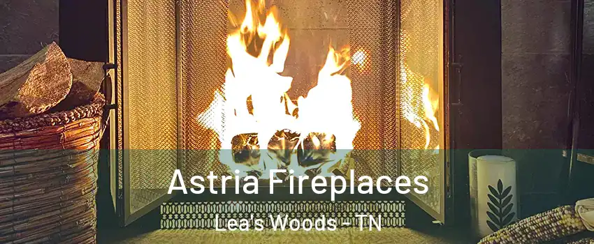 Astria Fireplaces Lea's Woods - TN