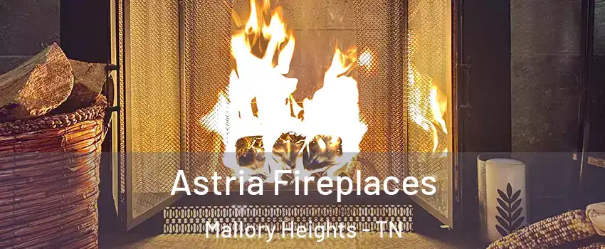 Astria Fireplaces Mallory Heights - TN