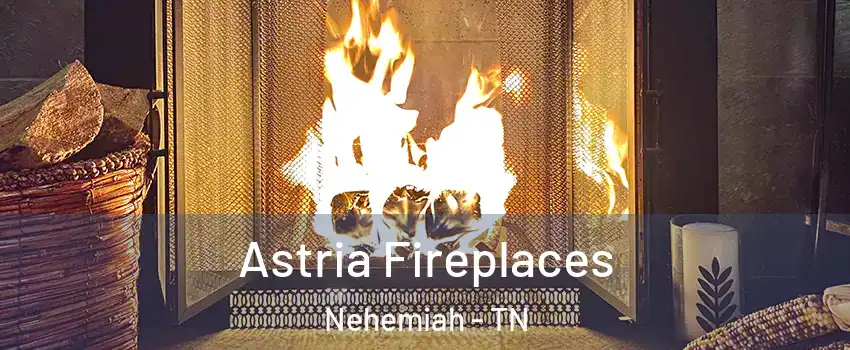 Astria Fireplaces Nehemiah - TN