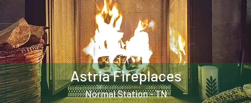 Astria Fireplaces Normal Station - TN