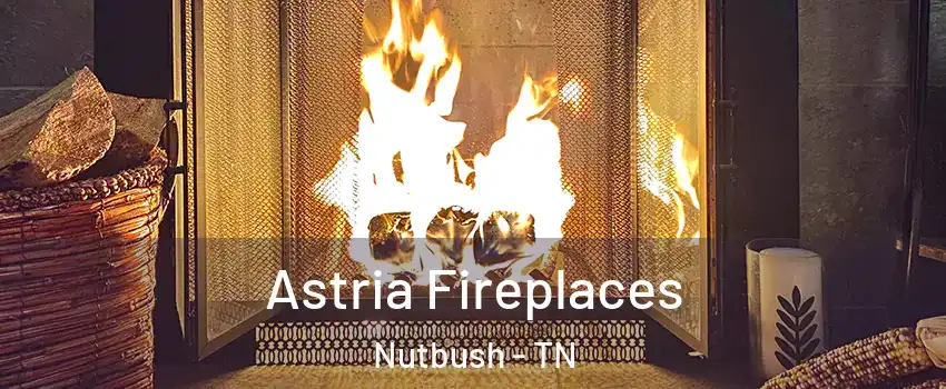 Astria Fireplaces Nutbush - TN