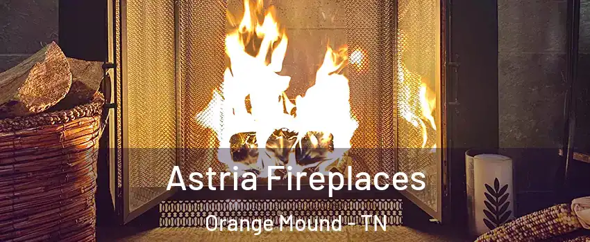 Astria Fireplaces Orange Mound - TN