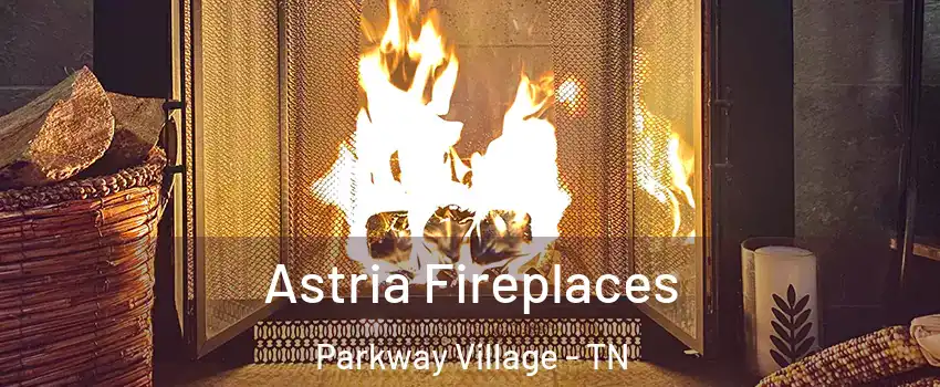 Astria Fireplaces Parkway Village - TN