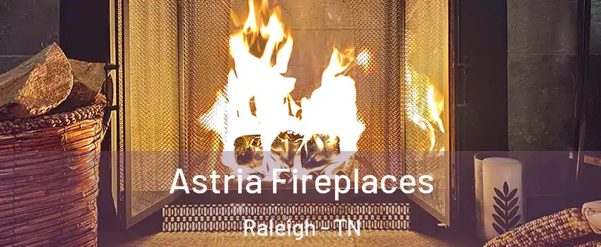 Astria Fireplaces Raleigh - TN