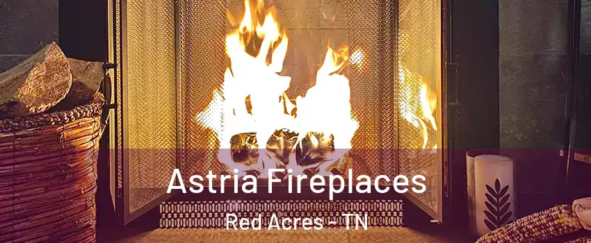 Astria Fireplaces Red Acres - TN