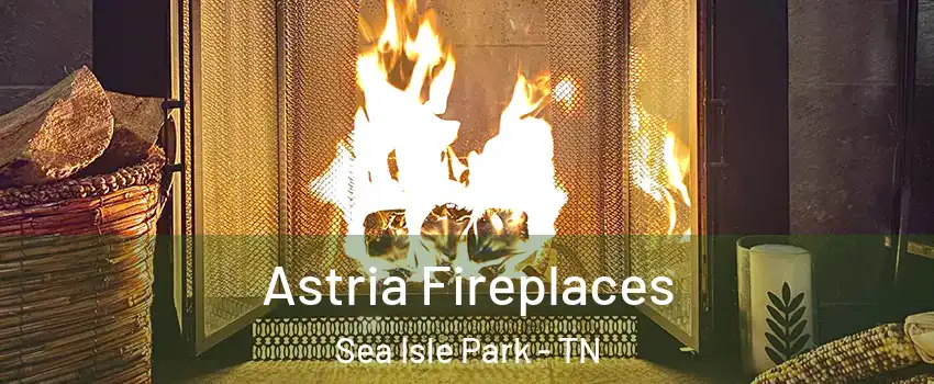 Astria Fireplaces Sea Isle Park - TN