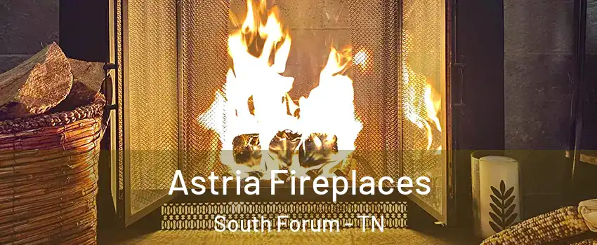 Astria Fireplaces South Forum - TN