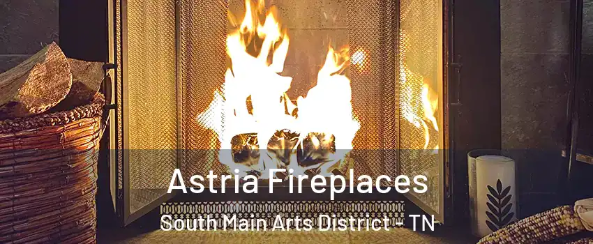 Astria Fireplaces South Main Arts District - TN