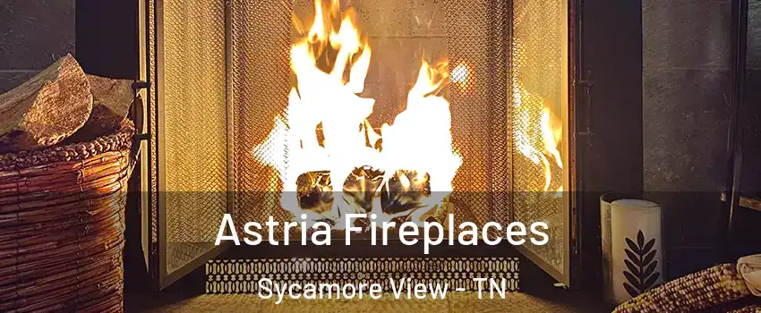 Astria Fireplaces Sycamore View - TN