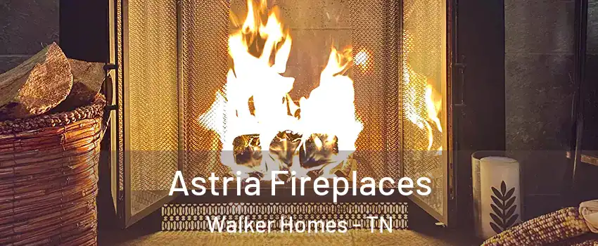 Astria Fireplaces Walker Homes - TN