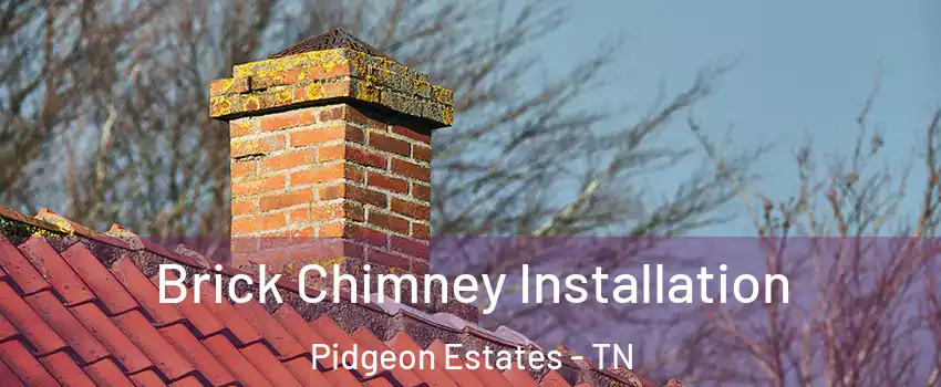 Brick Chimney Installation Pidgeon Estates - TN