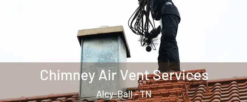 Chimney Air Vent Services Alcy-Ball - TN