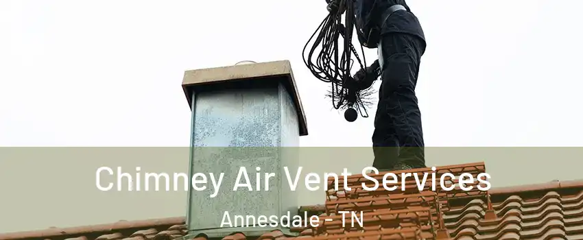 Chimney Air Vent Services Annesdale - TN