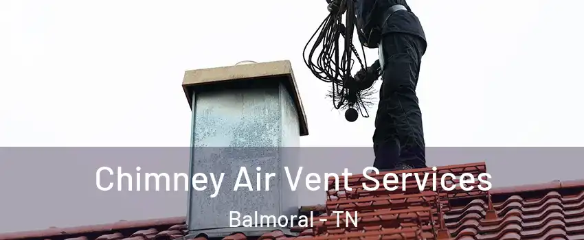 Chimney Air Vent Services Balmoral - TN