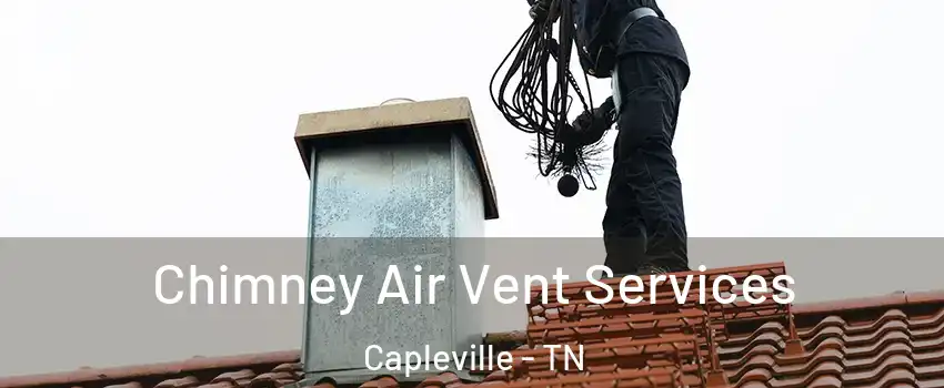 Chimney Air Vent Services Capleville - TN