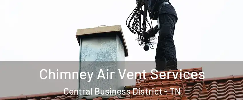 Chimney Air Vent Services Central Business District - TN