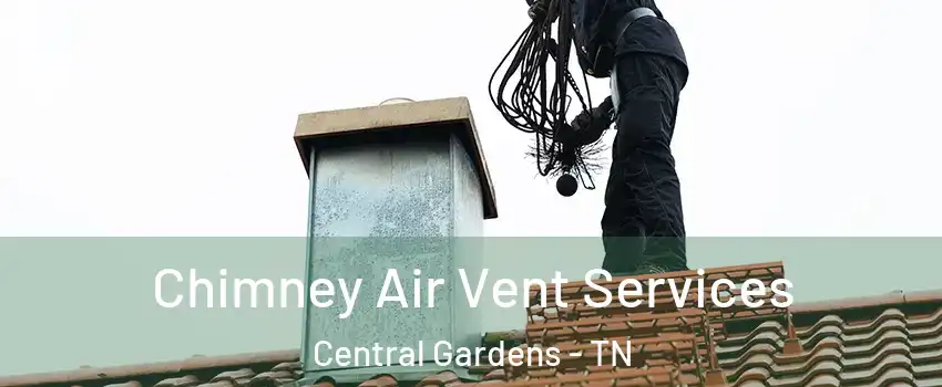 Chimney Air Vent Services Central Gardens - TN