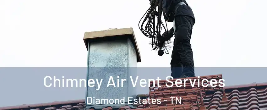 Chimney Air Vent Services Diamond Estates - TN