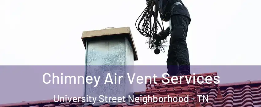 Chimney Air Vent Services University Street Neighborhood - TN