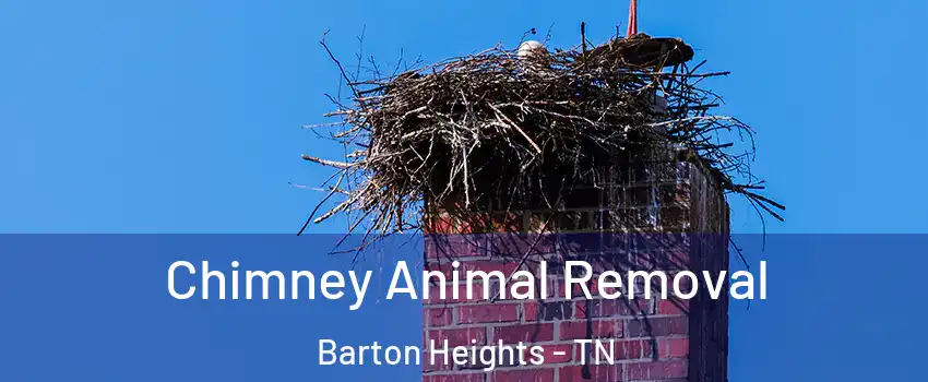 Chimney Animal Removal Barton Heights - TN