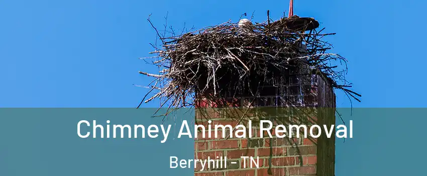 Chimney Animal Removal Berryhill - TN