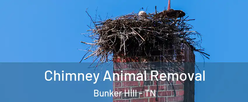 Chimney Animal Removal Bunker Hill - TN