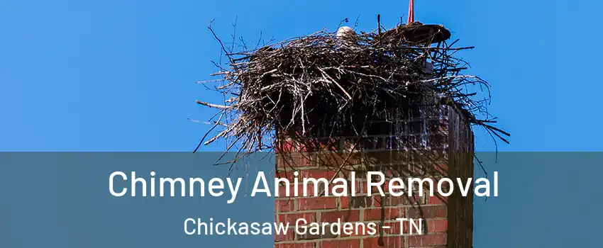 Chimney Animal Removal Chickasaw Gardens - TN