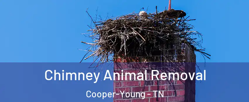 Chimney Animal Removal Cooper-Young - TN