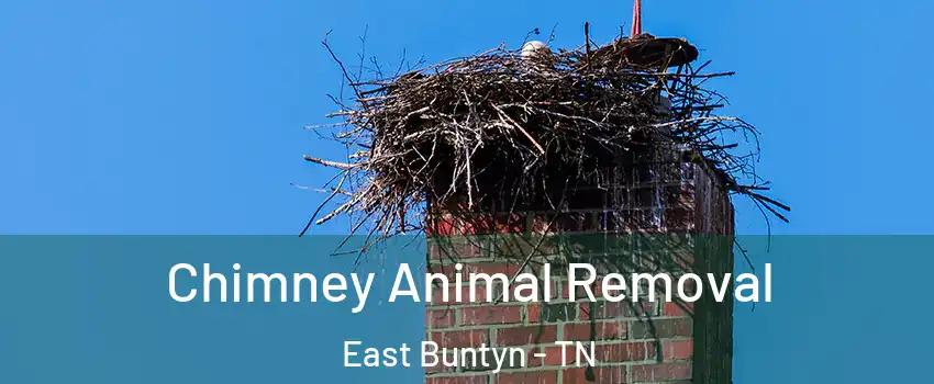 Chimney Animal Removal East Buntyn - TN