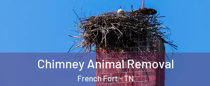 Chimney Animal Removal French Fort - TN