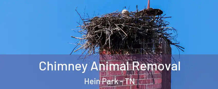 Chimney Animal Removal Hein Park - TN