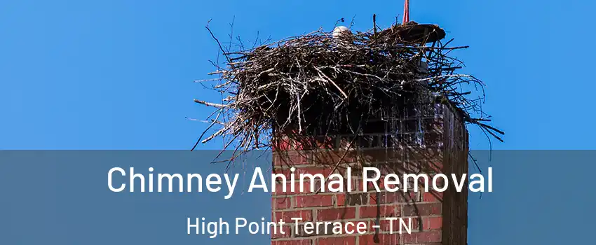 Chimney Animal Removal High Point Terrace - TN