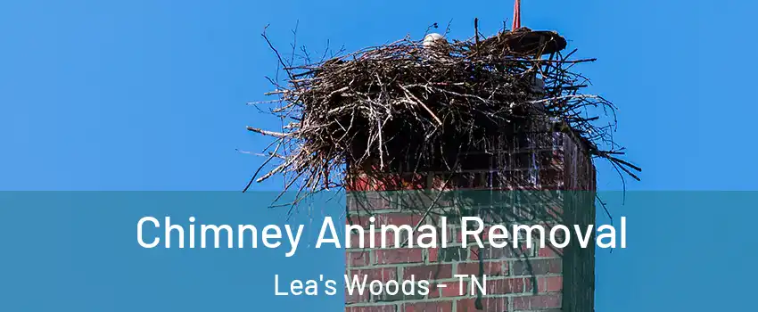 Chimney Animal Removal Lea's Woods - TN